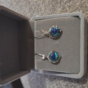 NWOT Blue Dangly Earrings